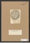 Diatomeae indet. Zeichnungen Sammlung Grunow Nr. 5059 (NHMW-BOT-W0373324)